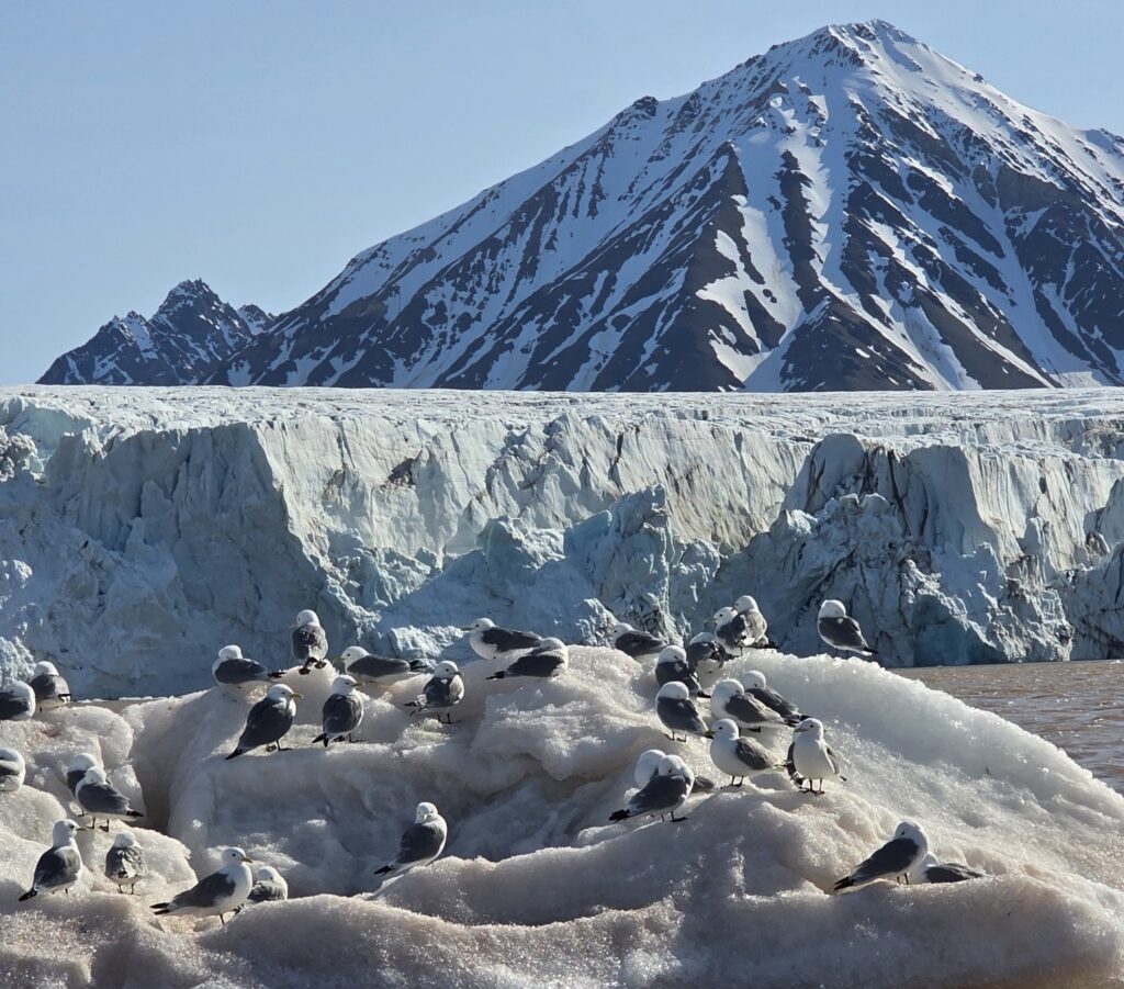 Expedición Ártica a bordo del Le Boréal