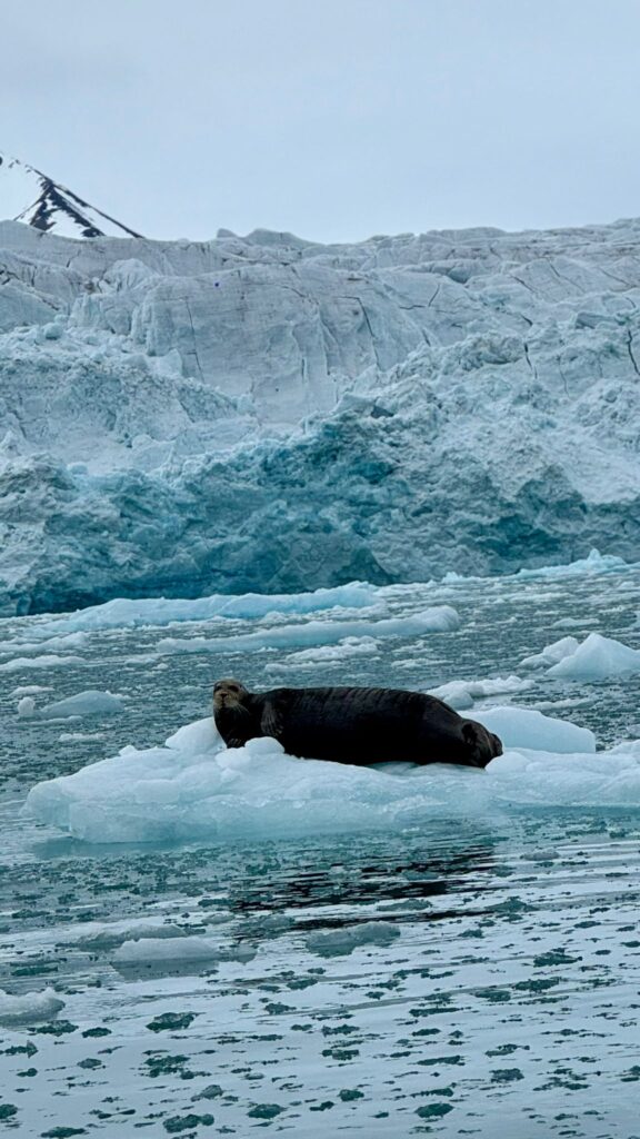 Expedición Ártica a bordo del Le Boréal