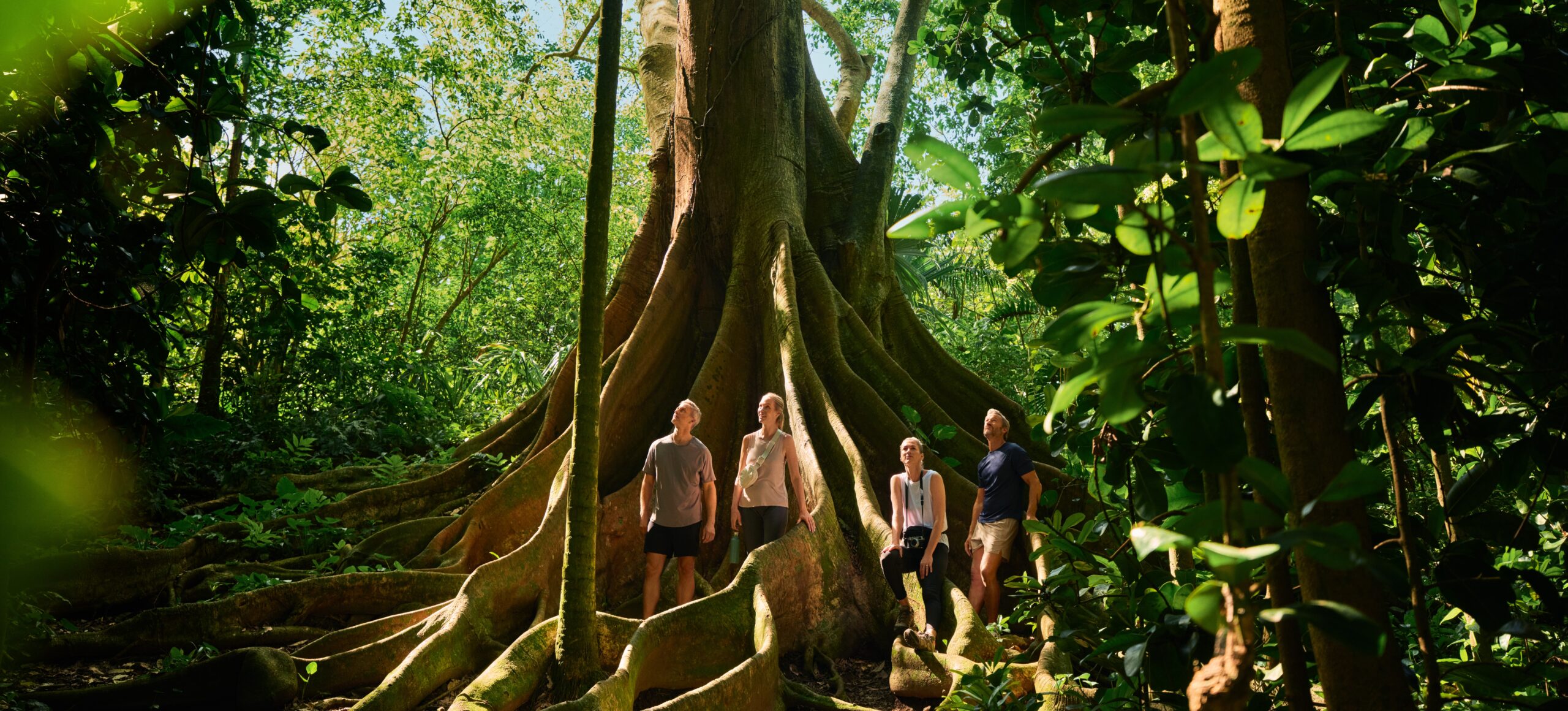 Descubre los Programas Terrestres de Silversea