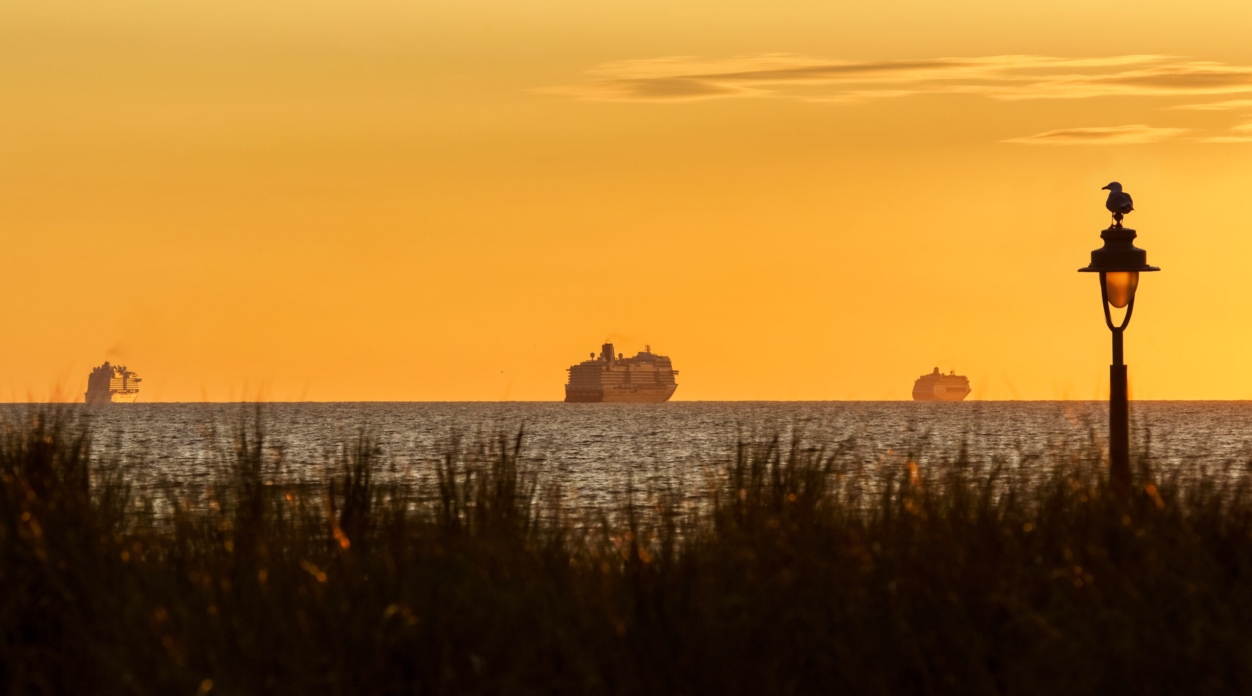 Holland America Line presenta sus Grandes Viajes 2028